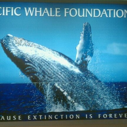Снимок сделан в Pacific Whale Foundation пользователем Ryan M. 3/9/2011