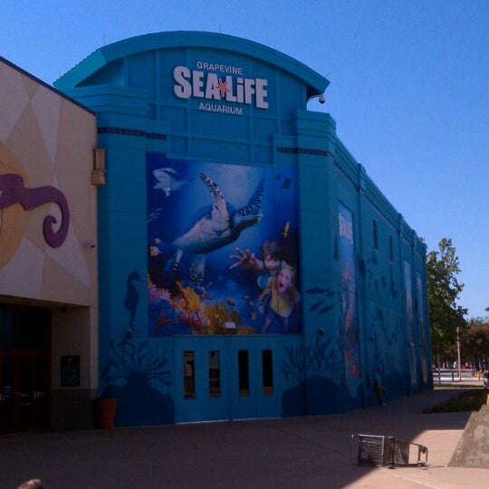 Foto tirada no(a) SEA LIFE Grapevine Aquarium por Jennifer E. em 9/10/2011