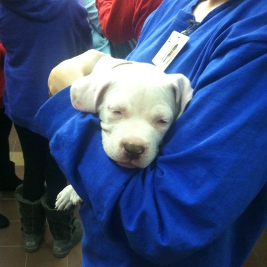 Photo taken at North Shore Animal League America by ᴡ F. on 4/1/2012