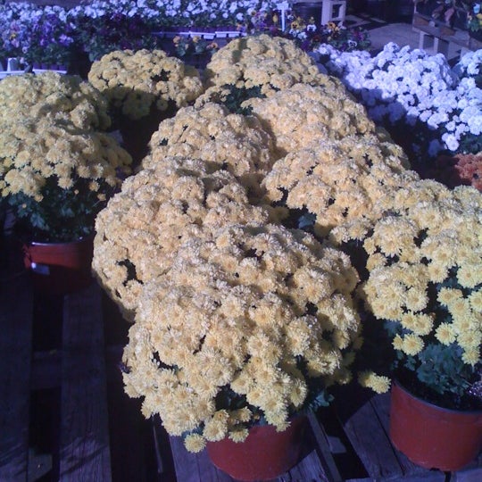 The Garden Center Garden Center in Oxford