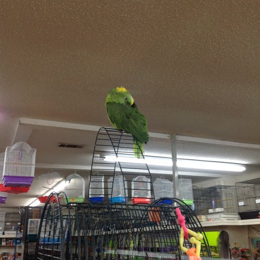 Photos at Davis Pet Store 13 visitors