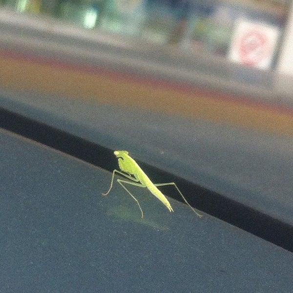 Shell Petrol Station - Kepong Baru - Kuala Lumpur, Kuala Lumpur
