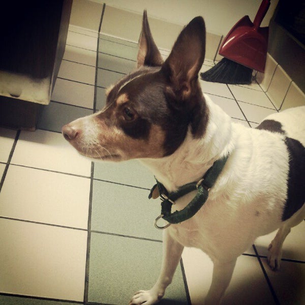 Photo taken at Brykerwood Veterinary Clinic by Haley W. on 9/11/2012