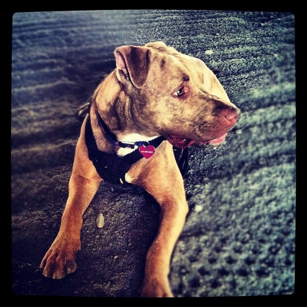 Silverstone Stables Rehoboth, MA