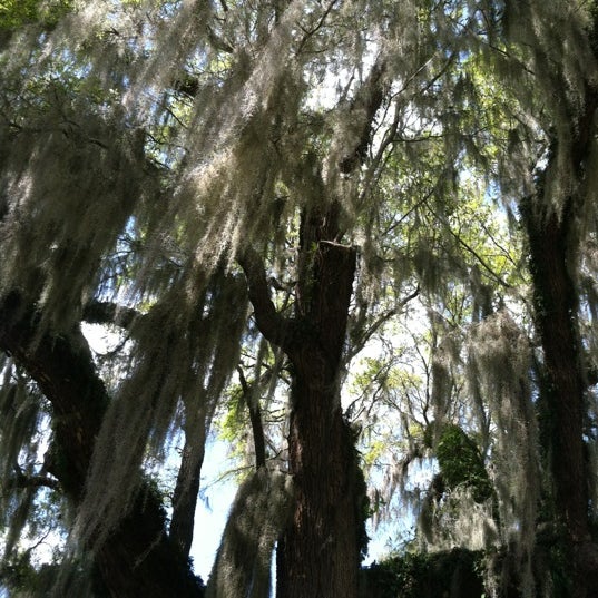 Photo taken at Lowcountry Visitors Center &amp; Museum (at Frampton Plantation) by LouAnn L. on 3/27/2012