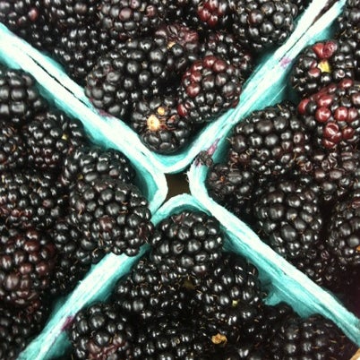 7/28/2012 tarihinde Maggie C.ziyaretçi tarafından Chappaqua Farmers Market'de çekilen fotoğraf