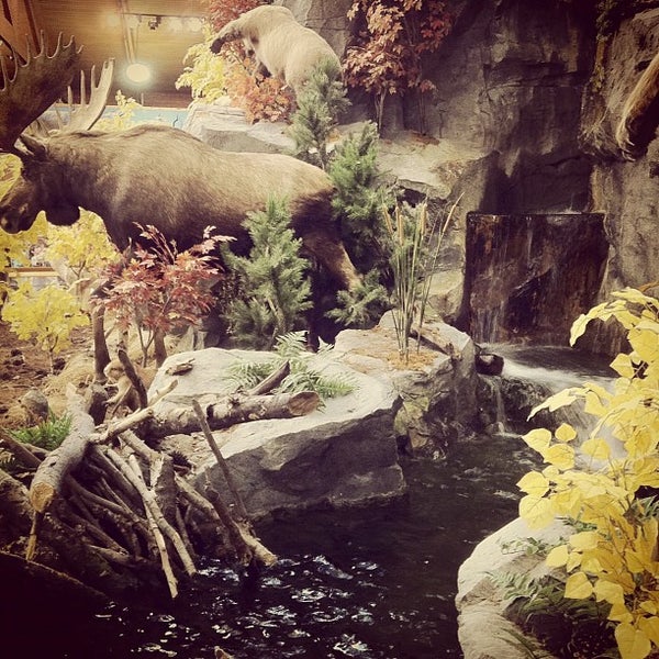 Cabela's Sporting Goods Shop