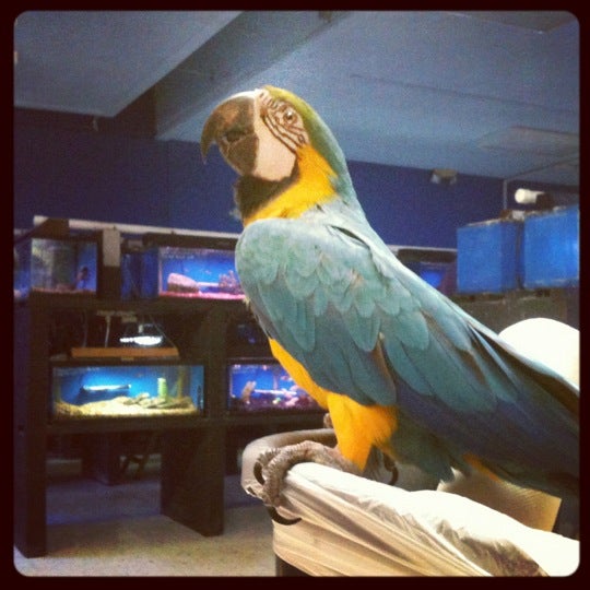 Markheim Tropical Fish & Pets (Now Closed) Pet Supplies Store in Amherst