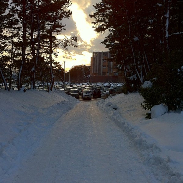 新潟大学 五十嵐キャンパス - 西区 - 3 conseils de 1299 visiteurs