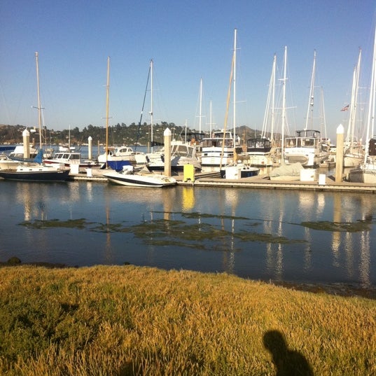 Photo taken at Sausalito Seahorse by Vicente O. on 7/3/2011