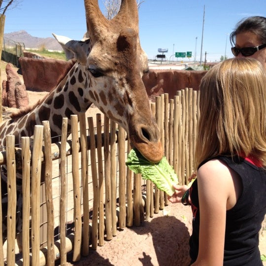 Снимок сделан в El Paso Zoo пользователем Goldie A. 4/28/2012