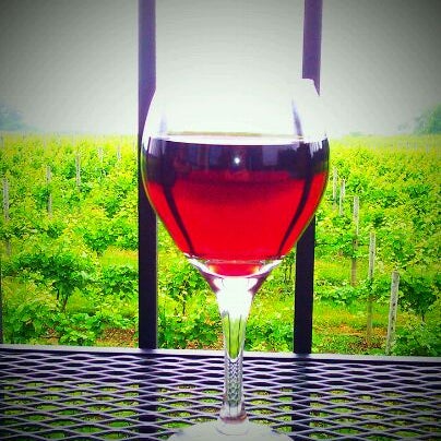 Order a glass of wine & a light snack then go out on the back patio to enjoy a slice of heaven.