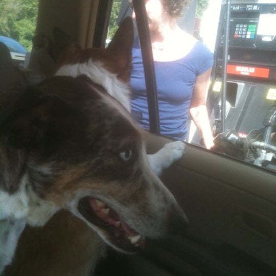 EBLEN SHORT STOP 2 Asheville, NC