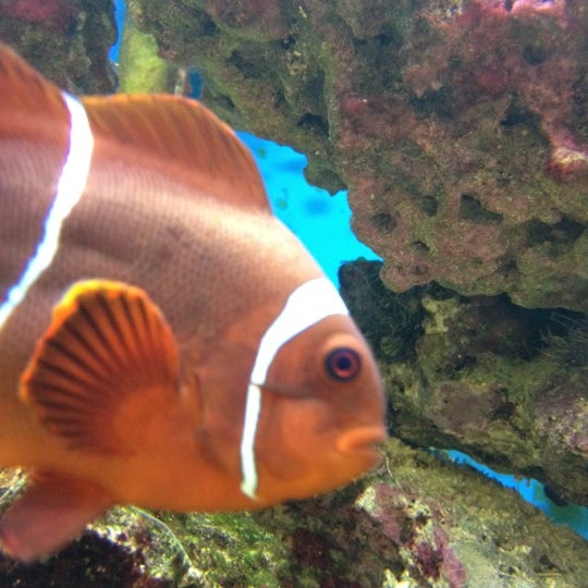 Key West Visitor's Center Key West, FL