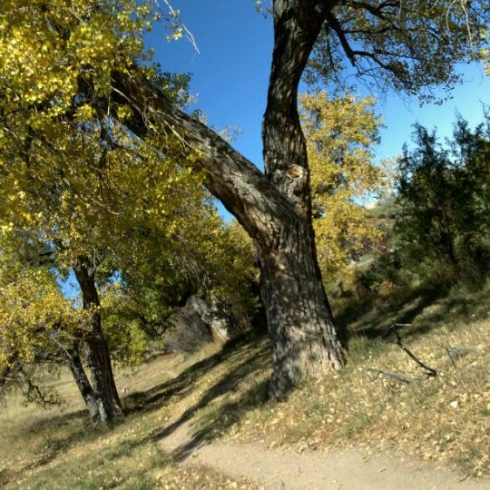 Cherry Knolls Park Cherry Knolls 3 tips from 174 visitors