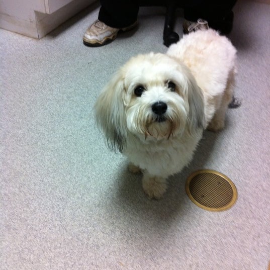 Photo prise au Long Island Veterinary Specialists par Peggy le2/23/2011