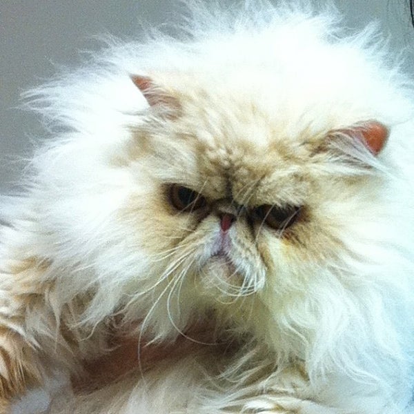 Photo taken at Veterinary Medical Clinic by Madison M. on 10/31/2011