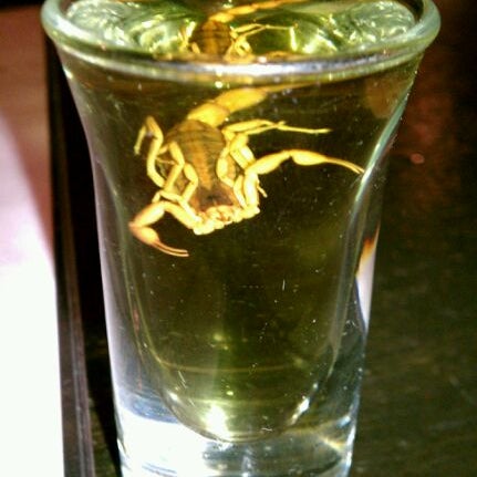 Add a scorpion to a shot for a truly unique drinking experience.