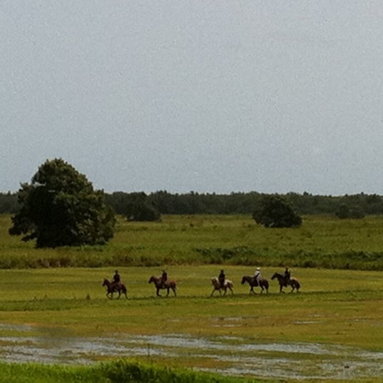 Photo taken at Campo Rico Trail Rides by Erick G. on 8/12/2011