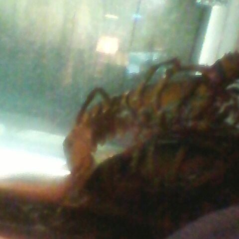 Foto scattata a Red Lobster da Miss M. il 4/1/2012
