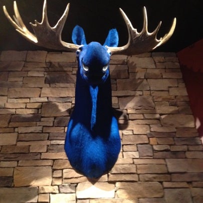 Foto tirada no(a) Blue Moose por Eden em 8/11/2012