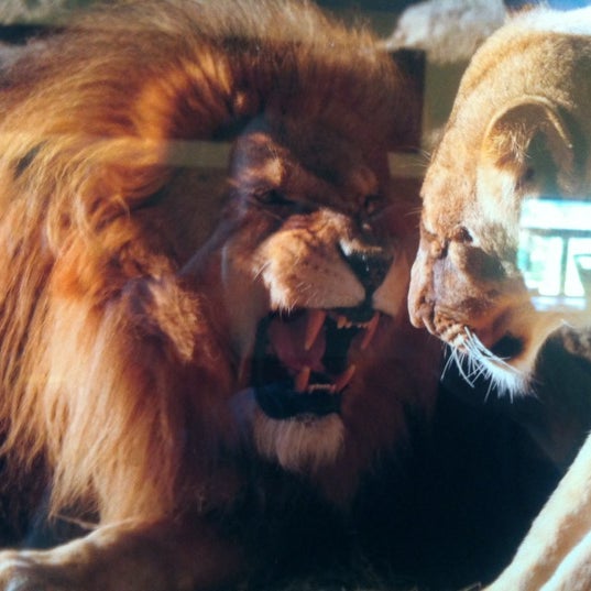 Mugz Coffee Richmond, TX