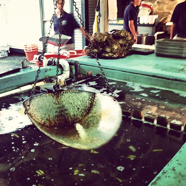 Photo taken at Ogunquit Lobster Pound Restaurant by Andrew T. on 9/1/2012