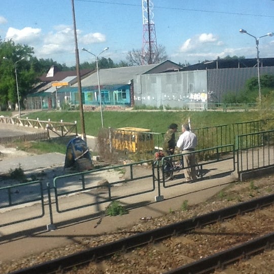 минутка золотушка