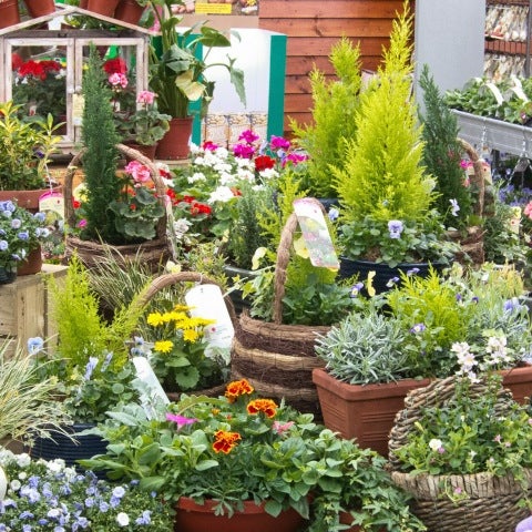 dobbies garden centre resin garden ornaments