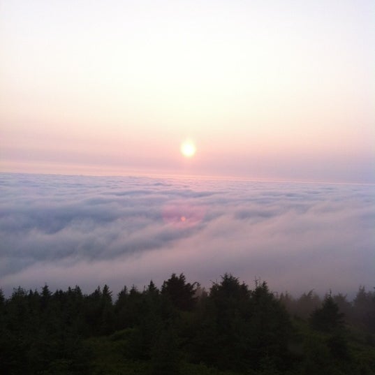 Mt Hebo Scenic Lookout in Hebo