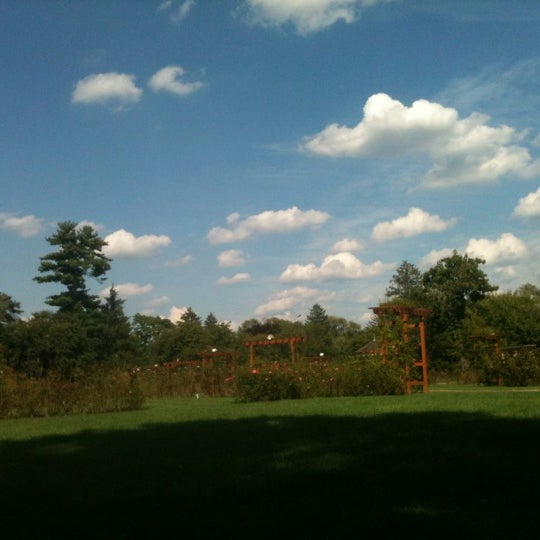 Photos at Rose Garden Park in Westside