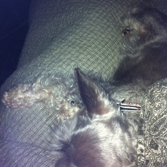 Society Hill (University Heights) Phase One Business and Professional