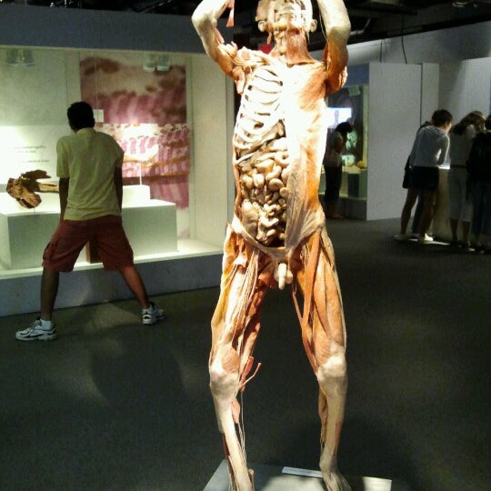 Photo taken at BODIES...The Exhibition by Roberta M. on 8/15/2012