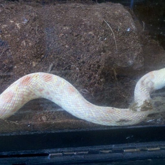 Exotic ARC Pet Supplies Store in Saint Louis