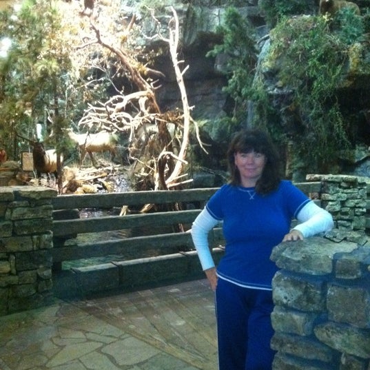 United Nails and Spa Zephyrhills, FL