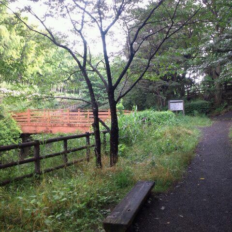 まさかりが淵市民の森 戸塚区 戸塚区汲沢町316 1