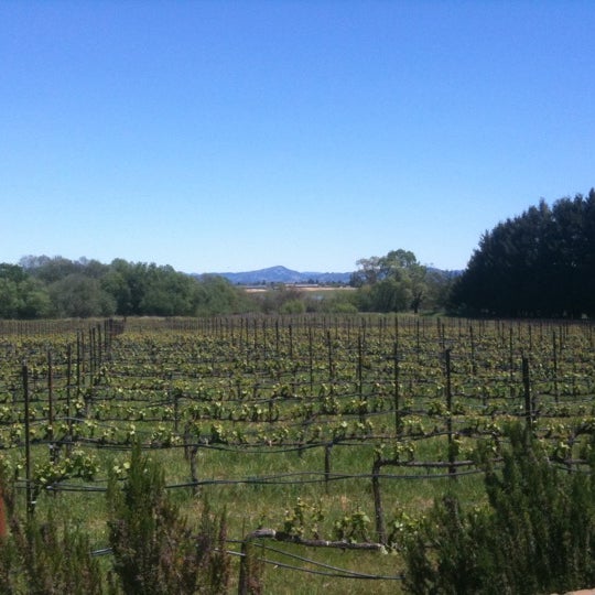 Photo taken at Lynmar Estate Winery by Rafael M. on 4/30/2011