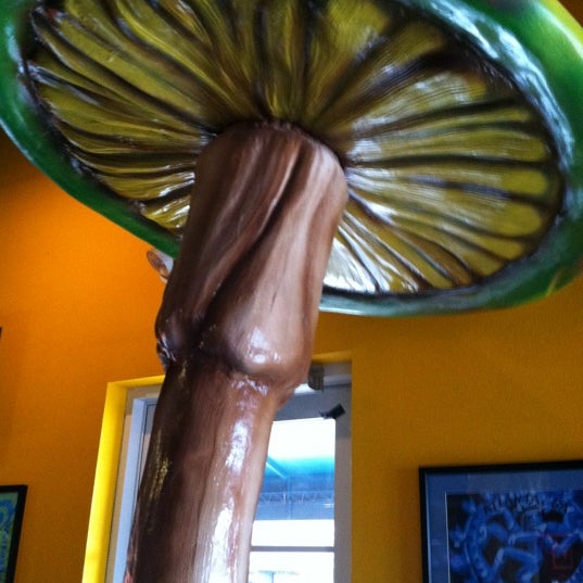 3/24/2012 tarihinde Jose Q.ziyaretçi tarafından Mellow Mushroom'de çekilen fotoğraf