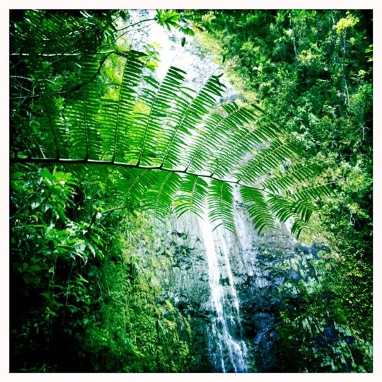 Photo prise au Discover Hawaii Tours par DHT S. le10/25/2011