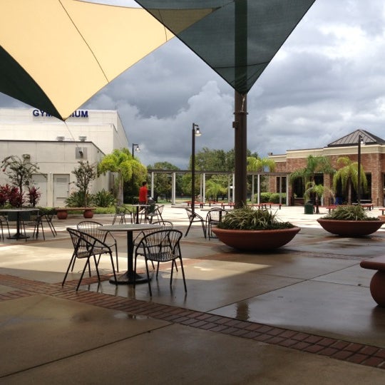 HCC Dale Mabry Courtyard Drew Park 0 tips