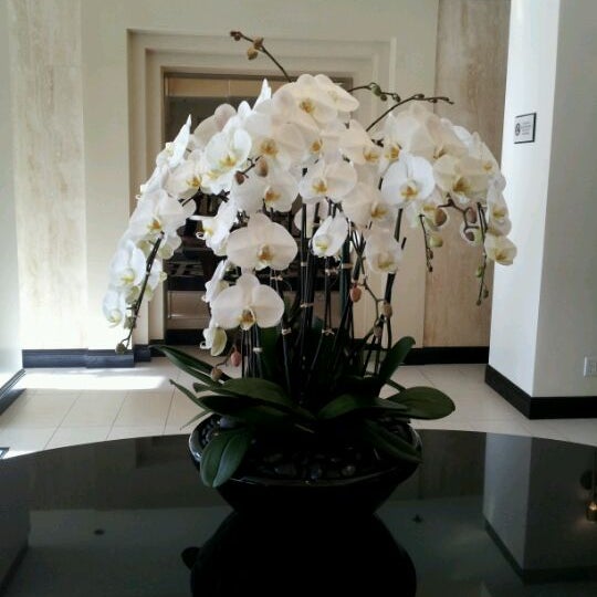 Photos At Starview Room Sheraton Universal 1 Tip