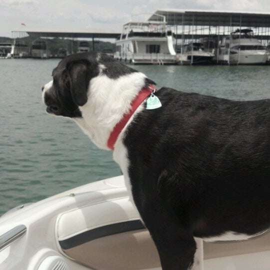 Gainesville Marina Dawsonville Hwy