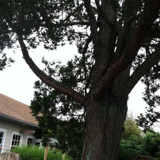 รูปภาพถ่ายที่ Backyard at Sole East โดย Stephanie B. เมื่อ 6/17/2012