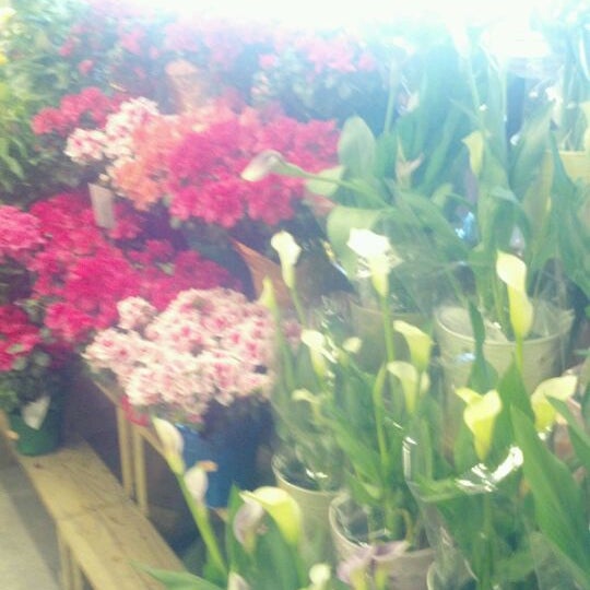 Photo taken at Miles Farmers Market by Evelyn P. on 4/13/2012