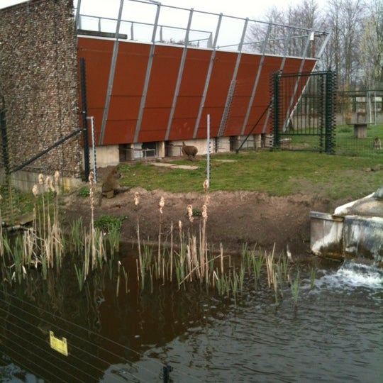 Photo taken at Stichting AAP by Sven E. on 4/13/2012
