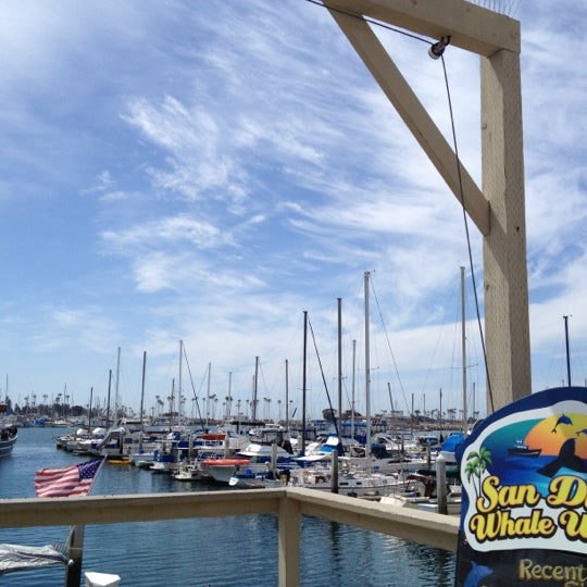 4/4/2012 tarihinde Margarita S.ziyaretçi tarafından San Diego Whale Watch'de çekilen fotoğraf