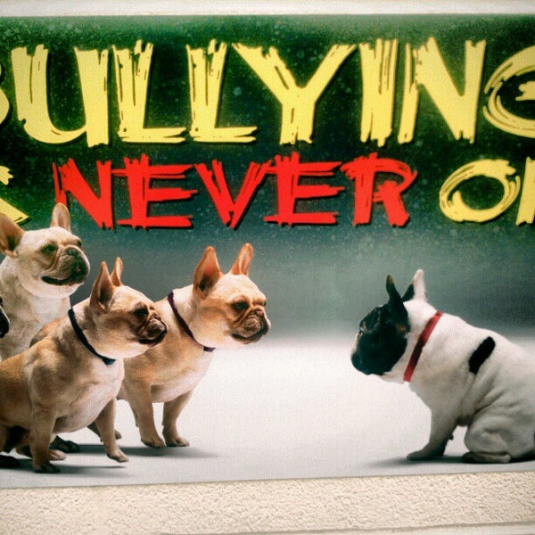 Photos at Moonlight Elementary School Gardner, KS