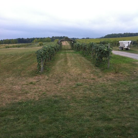 Foto tirada no(a) Hunt Country Vineyards por Kim S. em 9/3/2012