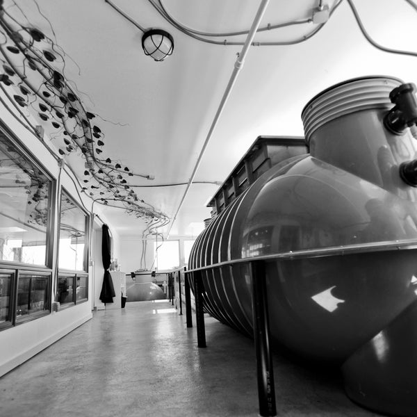 The Ecocenter at Heron's Head Park San Francisco, CA