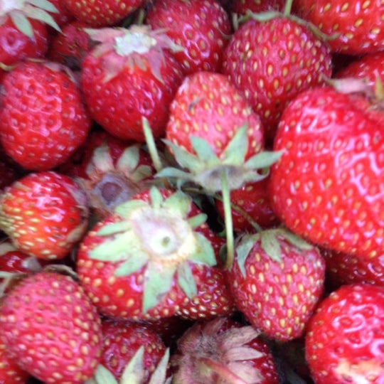 J&J Nursery Layton, UT